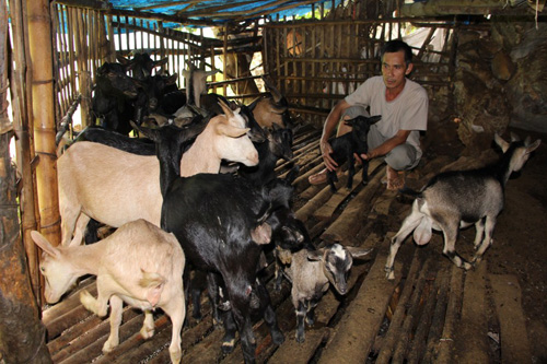 Bí thư Chi bộ gương mẫu